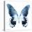 Miss Butterfly Agenor Sq - X-Ray White Edition-Philippe Hugonnard-Stretched Canvas
