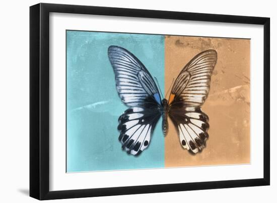 Miss Butterfly Agenor - Turquoise & Orange-Philippe Hugonnard-Framed Photographic Print