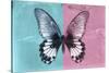 Miss Butterfly Agenor - Turquoise & Pale Violet-Philippe Hugonnard-Stretched Canvas