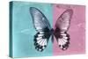 Miss Butterfly Agenor - Turquoise & Pale Violet-Philippe Hugonnard-Stretched Canvas