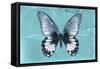 Miss Butterfly Agenor - Turquoise-Philippe Hugonnard-Framed Stretched Canvas