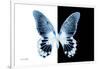 Miss Butterfly Agenor - X-Ray B&W Edition-Philippe Hugonnard-Framed Photographic Print