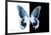 Miss Butterfly Agenor - X-Ray B&W Edition-Philippe Hugonnard-Framed Photographic Print