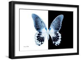 Miss Butterfly Agenor - X-Ray B&W Edition-Philippe Hugonnard-Framed Photographic Print