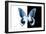 Miss Butterfly Agenor - X-Ray B&W Edition-Philippe Hugonnard-Framed Photographic Print