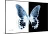 Miss Butterfly Agenor - X-Ray B&W Edition-Philippe Hugonnard-Mounted Photographic Print