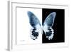 Miss Butterfly Agenor - X-Ray B&W Edition-Philippe Hugonnard-Framed Photographic Print