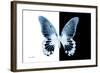 Miss Butterfly Agenor - X-Ray B&W Edition-Philippe Hugonnard-Framed Photographic Print