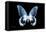 Miss Butterfly Agenor - X-Ray Black Edition-Philippe Hugonnard-Framed Stretched Canvas