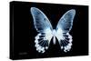 Miss Butterfly Agenor - X-Ray Black Edition-Philippe Hugonnard-Stretched Canvas