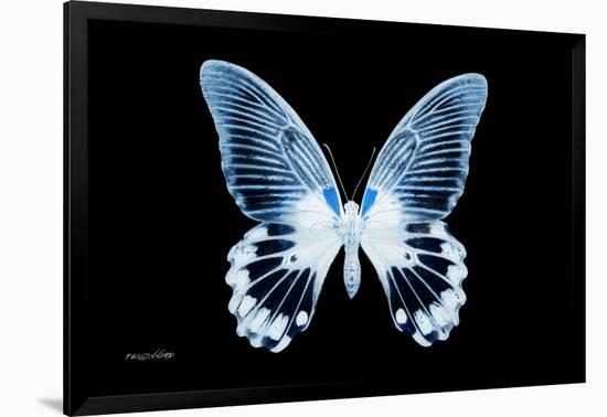 Miss Butterfly Agenor - X-Ray Black Edition-Philippe Hugonnard-Framed Photographic Print