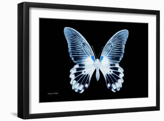 Miss Butterfly Agenor - X-Ray Black Edition-Philippe Hugonnard-Framed Photographic Print