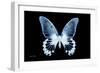 Miss Butterfly Agenor - X-Ray Black Edition-Philippe Hugonnard-Framed Photographic Print