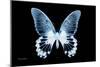 Miss Butterfly Agenor - X-Ray Black Edition-Philippe Hugonnard-Mounted Photographic Print