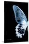 Miss Butterfly Agenor - X-Ray Left Black Edition-Philippe Hugonnard-Stretched Canvas