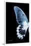 Miss Butterfly Agenor - X-Ray Left Black Edition-Philippe Hugonnard-Framed Photographic Print