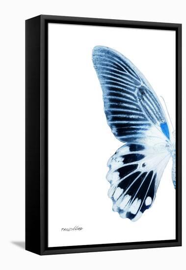 Miss Butterfly Agenor - X-Ray Left White Edition-Philippe Hugonnard-Framed Stretched Canvas