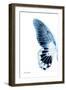 Miss Butterfly Agenor - X-Ray Left White Edition-Philippe Hugonnard-Framed Photographic Print