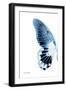 Miss Butterfly Agenor - X-Ray Left White Edition-Philippe Hugonnard-Framed Photographic Print