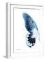 Miss Butterfly Agenor - X-Ray Left White Edition-Philippe Hugonnard-Framed Photographic Print