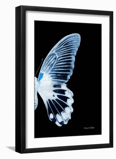 Miss Butterfly Agenor - X-Ray Right Black Edition-Philippe Hugonnard-Framed Photographic Print