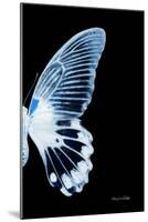 Miss Butterfly Agenor - X-Ray Right Black Edition-Philippe Hugonnard-Mounted Photographic Print