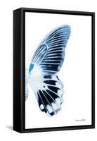 Miss Butterfly Agenor - X-Ray Right White Edition-Philippe Hugonnard-Framed Stretched Canvas