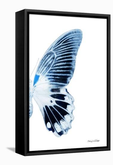 Miss Butterfly Agenor - X-Ray Right White Edition-Philippe Hugonnard-Framed Stretched Canvas