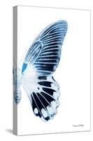 Miss Butterfly Agenor - X-Ray Right White Edition-Philippe Hugonnard-Stretched Canvas