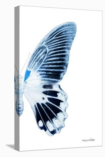 Miss Butterfly Agenor - X-Ray Right White Edition-Philippe Hugonnard-Stretched Canvas