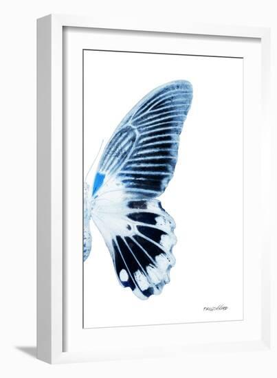 Miss Butterfly Agenor - X-Ray Right White Edition-Philippe Hugonnard-Framed Photographic Print