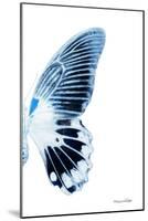 Miss Butterfly Agenor - X-Ray Right White Edition-Philippe Hugonnard-Mounted Photographic Print