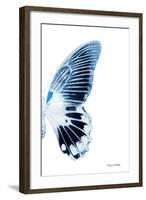 Miss Butterfly Agenor - X-Ray Right White Edition-Philippe Hugonnard-Framed Photographic Print