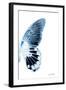 Miss Butterfly Agenor - X-Ray Right White Edition-Philippe Hugonnard-Framed Photographic Print