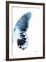 Miss Butterfly Agenor - X-Ray Right White Edition-Philippe Hugonnard-Framed Photographic Print