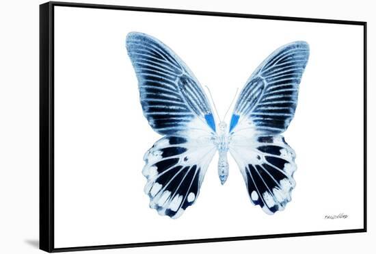 Miss Butterfly Agenor - X-Ray White Edition-Philippe Hugonnard-Framed Stretched Canvas