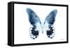Miss Butterfly Agenor - X-Ray White Edition-Philippe Hugonnard-Framed Stretched Canvas