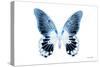 Miss Butterfly Agenor - X-Ray White Edition-Philippe Hugonnard-Stretched Canvas