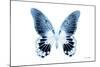 Miss Butterfly Agenor - X-Ray White Edition-Philippe Hugonnard-Mounted Photographic Print