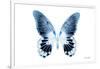 Miss Butterfly Agenor - X-Ray White Edition-Philippe Hugonnard-Framed Photographic Print