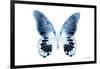 Miss Butterfly Agenor - X-Ray White Edition-Philippe Hugonnard-Framed Photographic Print