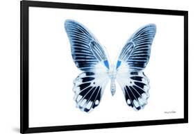 Miss Butterfly Agenor - X-Ray White Edition-Philippe Hugonnard-Framed Photographic Print