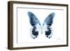 Miss Butterfly Agenor - X-Ray White Edition-Philippe Hugonnard-Framed Photographic Print