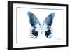 Miss Butterfly Agenor - X-Ray White Edition-Philippe Hugonnard-Framed Photographic Print