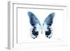 Miss Butterfly Agenor - X-Ray White Edition-Philippe Hugonnard-Framed Photographic Print