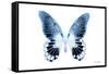 Miss Butterfly Agenor - X-Ray White Edition-Philippe Hugonnard-Framed Stretched Canvas