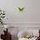 Miss Butterfly Brookiana - Lime Green-Philippe Hugonnard-Photographic Print displayed on a wall