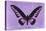 Miss Butterfly Brookiana - Mauve-Philippe Hugonnard-Stretched Canvas