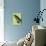 Miss Butterfly Brookiana Profil - Lime Green-Philippe Hugonnard-Photographic Print displayed on a wall