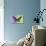 Miss Butterfly Brookiana Profil - Mauve & Lime Green-Philippe Hugonnard-Stretched Canvas displayed on a wall